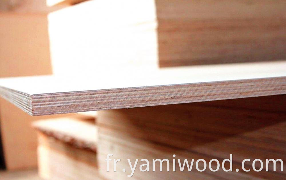 Birch Plywood 10
